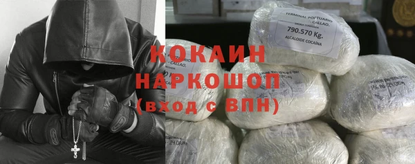 гидра Алексин