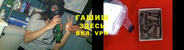 гидра Алексин