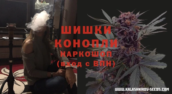 соль ск Алзамай
