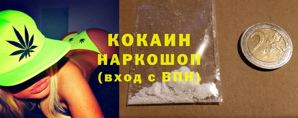гидра Алексин