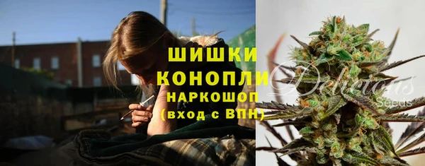 гидра Алексин