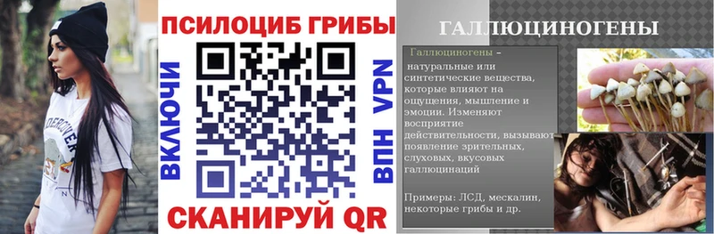 Псилоцибиновые грибы Psilocybine cubensis  ОМГ ОМГ маркетплейс  Ахтырский  купить  